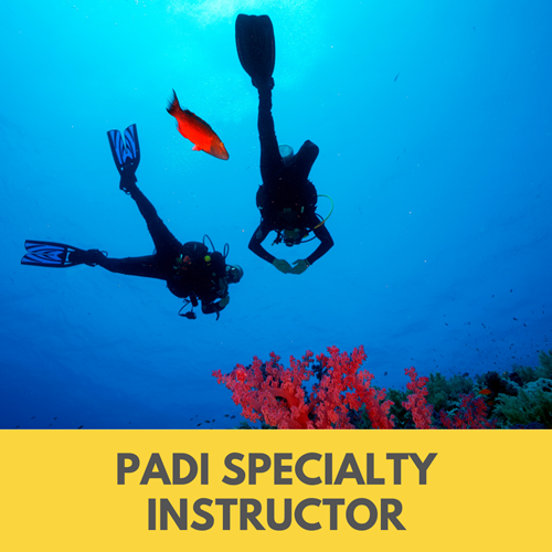Speciality Instructor